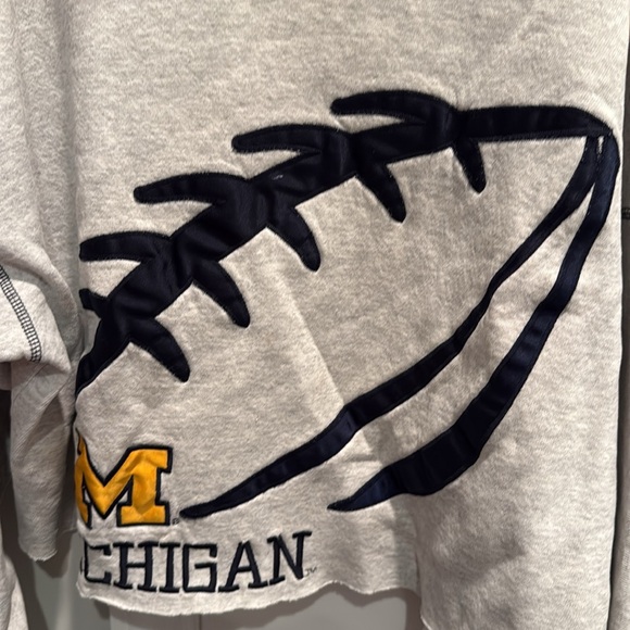 Gray Michigan Sweatshirt size large. Never worn - Picture 3 of 5